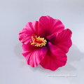 El cabello de flor de hibisco de espuma grande hecha a mano